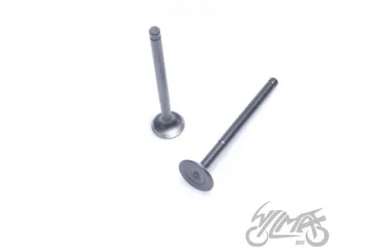VALVE SET, IN.&EX. 4T ENGINE CODE JJ1P39QMB