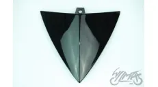 LID, ENTRAL HEADLAMP COVER