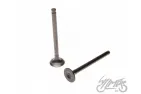VALVE SET, IN.+EX. 4T 139FMB KINROAD XT50Q