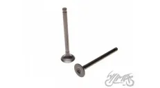 VALVE SET, IN.+EX. 4T 139FMB KINROAD XT50Q