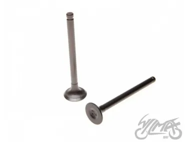 VALVE SET, IN.+EX. 4T 139FMB KINROAD XT50Q