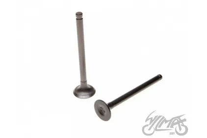 VALVE SET, IN.+EX. 4T 139FMB KINROAD XT50Q