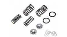 SPRING SET, VALVE W/RETAINERS 4T