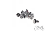 BOLT SET, ENGINE SPROCKET LOCK PLATE 4T 2PCS