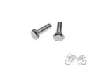 BOLT SET, KICK STARTER SHAFT GUIDE 2PCS 4T