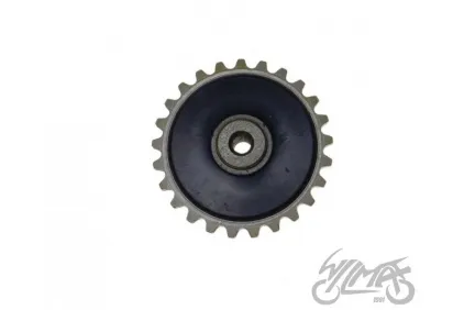 GEAR, OIL PUMP DRIVE 4T T:25