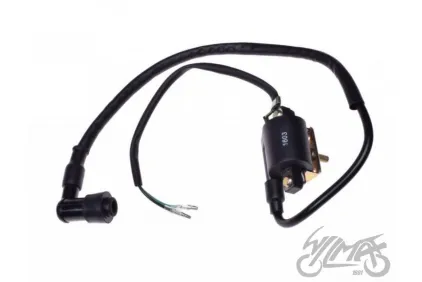UŽDEGIMO RITĖ 4T KINROAD XT50Q