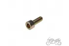 SCREW, GEAR SHIFTER CAM - NEUTRAL SWITCH