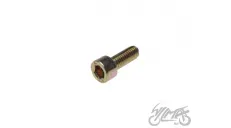 SCREW, GEAR SHIFTER CAM - NEUTRAL SWITCH