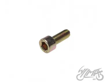 SCREW, GEAR SHIFTER CAM - NEUTRAL SWITCH