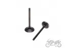INTAKE AND EXHAUST VALVE SET