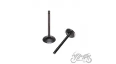 INTAKE AND EXHAUST VALVE SET