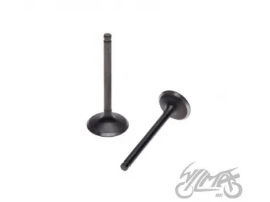 INTAKE AND EXHAUST VALVE SET