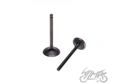 INTAKE AND EXHAUST VALVE SET