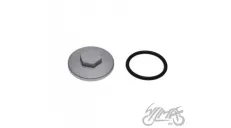 CAP, VALVE CHAMBER