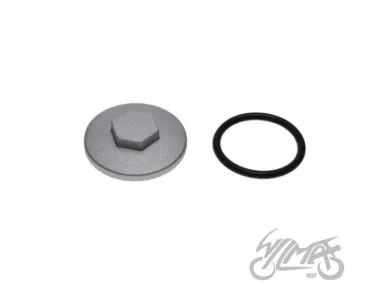 CAP, VALVE CHAMBER