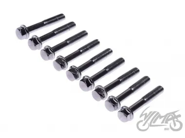 BOLT SET, DRIVE BELT COVER 4T (9PCS)