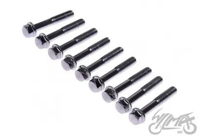 BOLT SET, DRIVE BELT COVER 4T (9PCS)