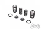 SPRING SET, VALVE W/RETAINERS 4T.