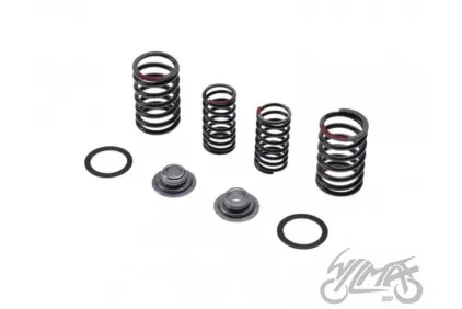 SPRING SET, VALVE W/RETAINERS 4T.