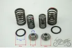 SPRING SET, VALVE W/RETAINERS 4T.