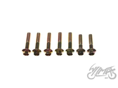 BOLT SET, FINAL DRIVE 4T