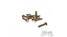 BOLT, KICK STARTER LEVER 4T 10 PCS