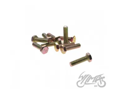 BOLT, KICK STARTER LEVER 4T 10 PCS