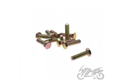 BOLT, KICK STARTER LEVER 4T 10 PCS