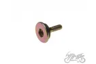 BOLT, CAM CHAIN GUIDE 4T