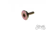 BOLT, CAM CHAIN GUIDE 4T