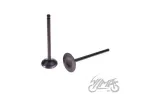 VALVE SET, IN. + EX. ZONGSHEN CROSS 250