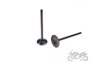 VALVE SET, IN. + EX. ZONGSHEN CROSS 250