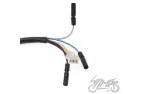 STATOR ASSY, GENERATOR/IGNITER W/O FLYWHEEL 2T 6 WIRES