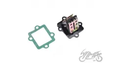 VALVE ASSY, REED 2T + GASKET