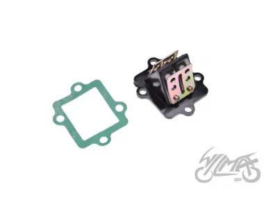 VALVE ASSY, REED 2T + GASKET