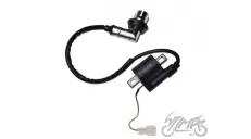 IGNITION COIL 2T QT-4