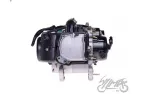 ENGINE ASSY 80 CCM 4T BELT COVER LENGTH 46cm LONG OUTPUT SHAFT