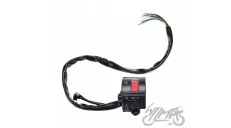 SWITCH ASSY, HANDLEBAR RH PY-5 MALE BLOCK CONNECTOR
