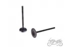 VALVE SET, IN.+EX. ATV200 LONCIN LC
