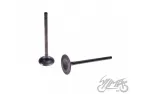 VALVE SET, IN.+EX. ATV200 LC
