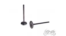 VALVE SET, IN.+EX. ATV200 LC