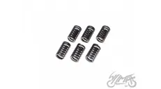 SPRING SET, CLUTCH 6PCS ATV200