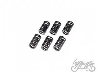 SPRING SET, CLUTCH 6PCS ATV200