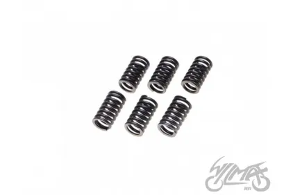SPRING SET, CLUTCH 6PCS ATV200