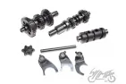 GEAR BOX ASSY, ATV 200 W/GEAR SELECTOR FORKS LONCIN