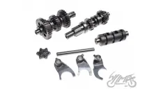GEAR BOX ASSY, ATV 200 W/GEAR SELECTOR FORKS LONCIN