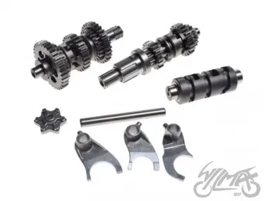 GEAR BOX ASSY, ATV 200 W/GEAR SELECTOR FORKS LONCIN