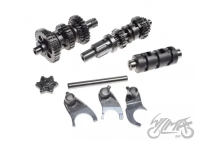 GEAR BOX ASSY, ATV 200 W/GEAR SELECTOR FORKS LONCIN