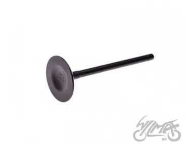VALVE, INTAKE ATV 250 ST-9E